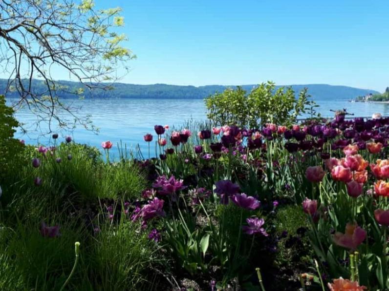 Lakeview Penthouse Meersburg Kültér fotó